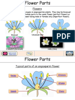 Flower parts.pdf