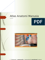 Buku Anatomi Fisiologi Tubuh Manusia PDF, Buku Anatomi Manusia, Buku Anatomi Manusia PDF, Buku Anatomi Tubuh Manusia - 085648004092