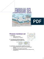 MEMBRAN-rev-2014.pdf