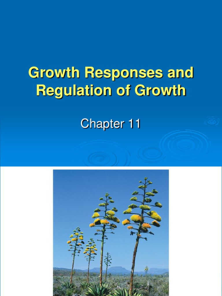 Growth Responses and Regulation of Growth | PDF | Plant Hormone | Auxin