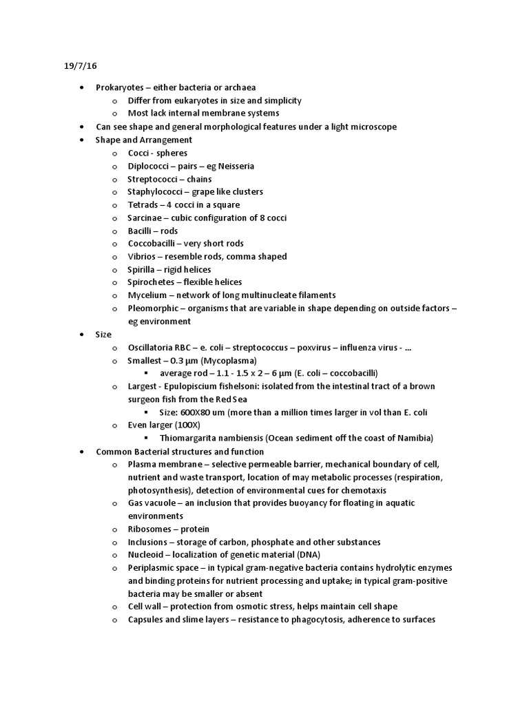 Bacterial Structure and Function Overview | PDF | Bacteria | Growth Medium