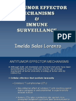 Antitumor Effector Mechanisms & Immune Surveillance: Imelda Salas Lorenzo