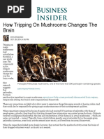 Magic Mushrooms Change Brain Connections - Business Insider