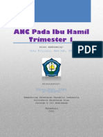 79455538-ANC-Pada-Ibu-Hamil-TM-1.docx