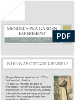 Mendel'S Pea Garden Experiment: Canda, Echavia, Fuentes, Gotera, Madrona, Sumalinog