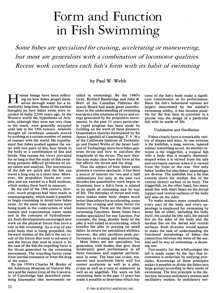 Form and Function in Fish Swimming | PDF | Fin | Propulsion