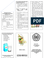 Leaflet Gizi Ibu Menyusui