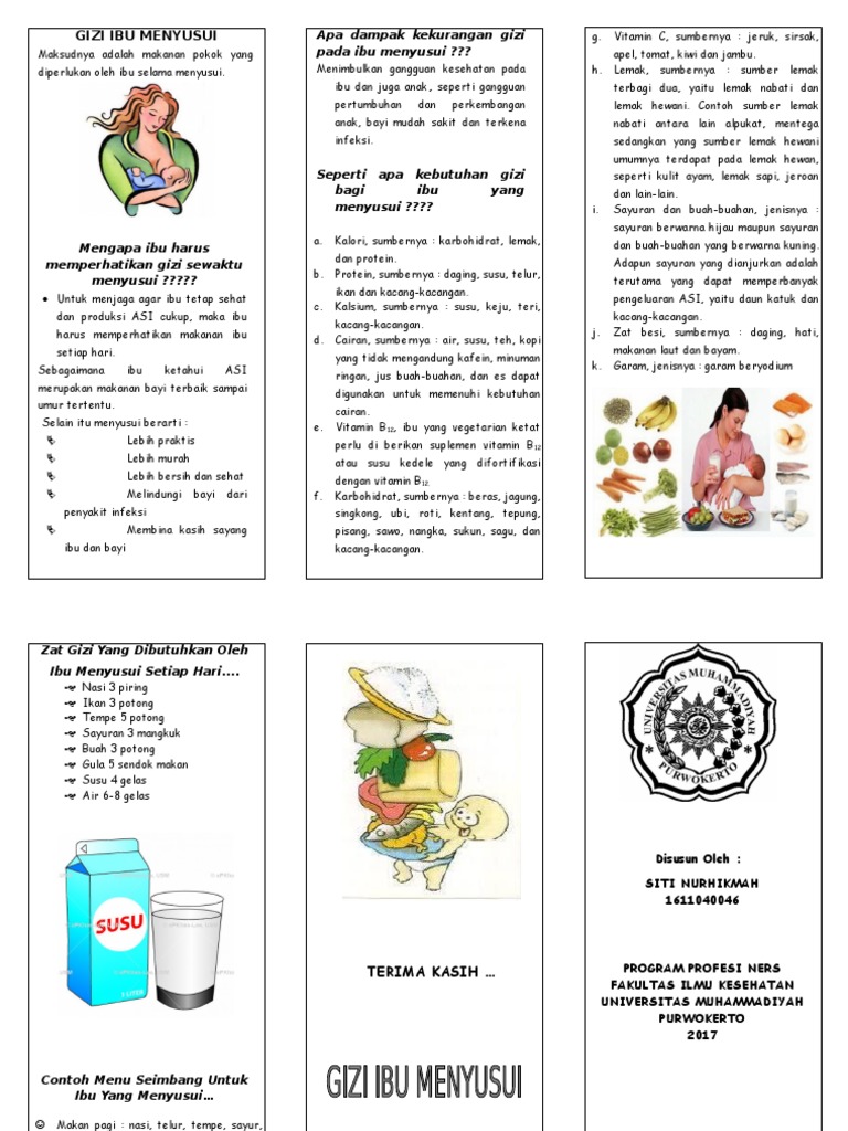 Leaflet Gizi Ibu Menyusui | PDF