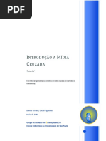 Tutorial Midia Cruzada
