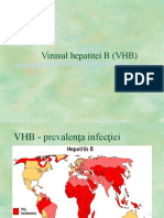 Virusul Hepatitei B (VHB)