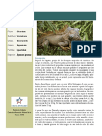 Iguanidos Descripciones Generales PDF