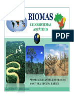 Aula6_Biomas.pdf