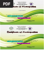 Essay Writing Certificate