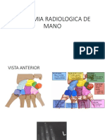 Anatomia Radiologica de Mano