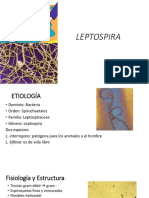 LEPTOSPIROSIS: BACTERIA ZOONÓTICA Y SU DIAGNÓSTICO