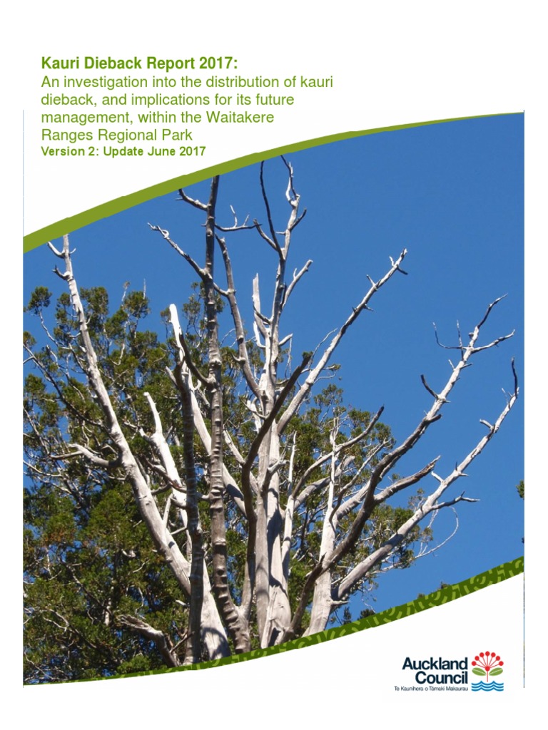 Kauri Dieback Report 2017 PDF Botany Plant Diseases