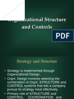 Organizational Structure and Controls Guide