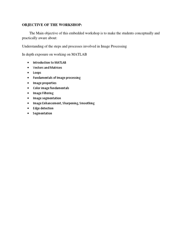 Image Processing Workshop with MATLAB | PDF