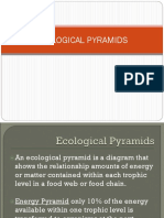 3. Ecological Pyramids