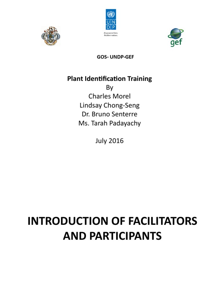 Plant Identification Training Overview | PDF | Intuition | Organisms