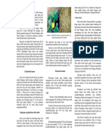 Arachis Pintoi Pada Usaha Tani PDF