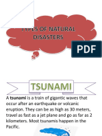 Presentation1 Types of Natural Disasters