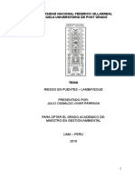 Tesis Maestría Gestión Ambiental