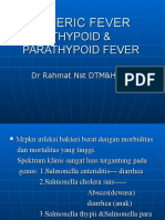 Demam Thypoid.ppt