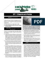 CIP1 El Concreto en La Practica PDF