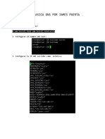 Guia Basica DNS