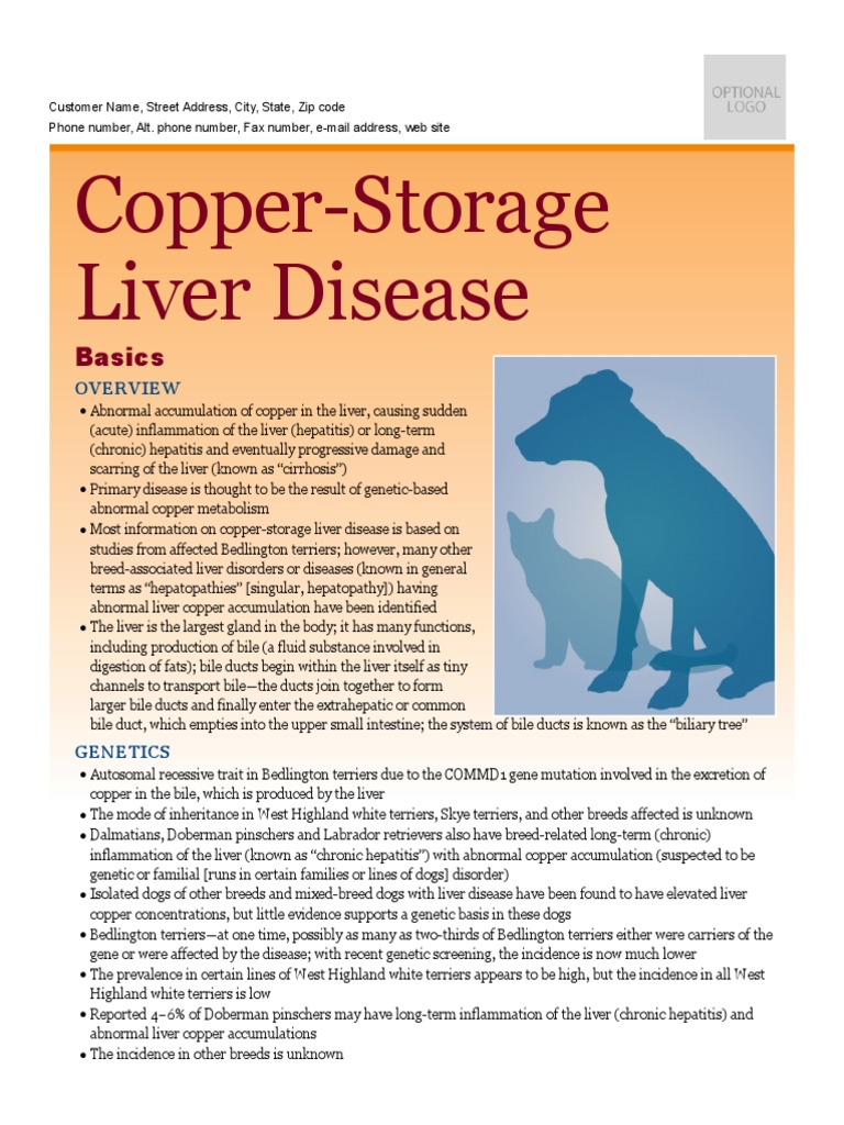 Copperstorage Liver Disease Liver Hepatitis