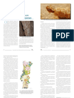 Bioespeleo PDF