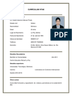 Curriculum Vitae Mauricio 2017 2