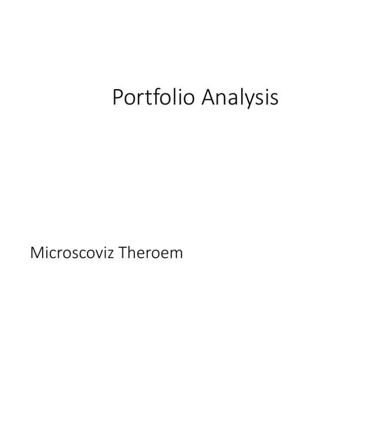 Microscoviz Theorem Portfolio Analysis | PDF | Finance & Money Management