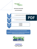 Protocolo Aplicación Melon PDF