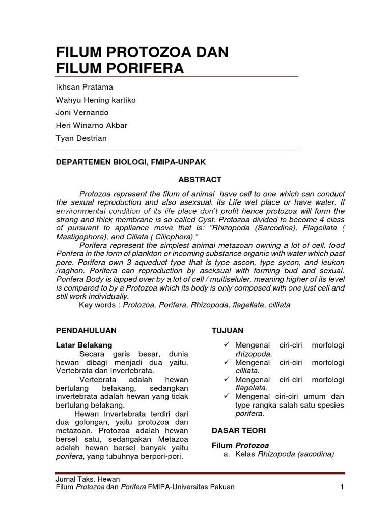 76 Gambar Hewan Invertebrata Protozoa Terbaik