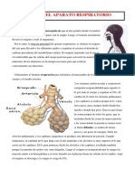 TEMA 6.- SISTEMA RESPIRATORIO.pdf