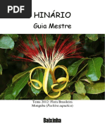 Baixinha - Guia Mestre 