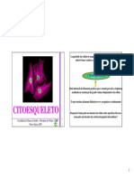 A9.Citoesqueleto.pdf