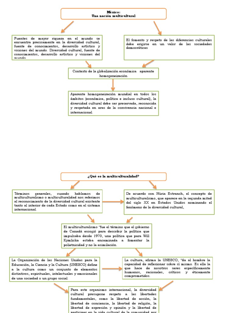 CUADRO SINOPTICO CULTURA.docx Diversidad cultural