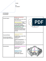 Diametros y Estrechos de La Pelvis