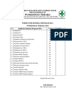 6.1.7.b Indikator Kinerja Program KIA