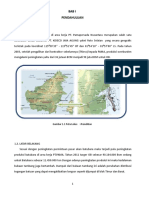 Laporan Mapping Geologi Area PAMA - 2011.odt