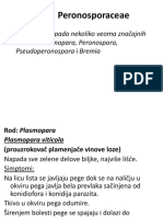 VEZBE - Fam - Peronosporaceae Mikoze Ukrasnih 1