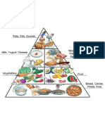 Food Pyramin