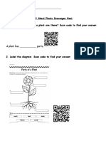 Plant QR Scavenger