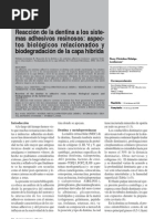 Download MMP y Biodegradacin de la Capa Hbrida by Rony Christian Hidalgo Lostaunau SN35599256 doc pdf