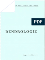 Dendrologie1 Celorocni Pruzkum Trojmezi