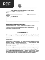 Guias Insercion laboral