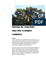 Araucária: Uma teia ecológica complexa de interações